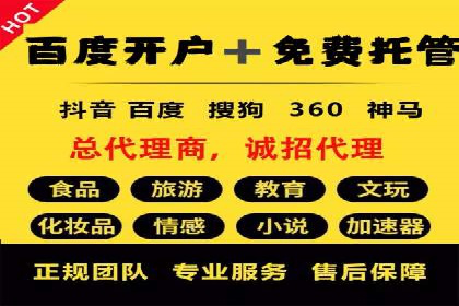 SEM服务公司成功案例解读